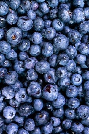 numerous fresh blueberries displays a range of deep blue and purplish hues.