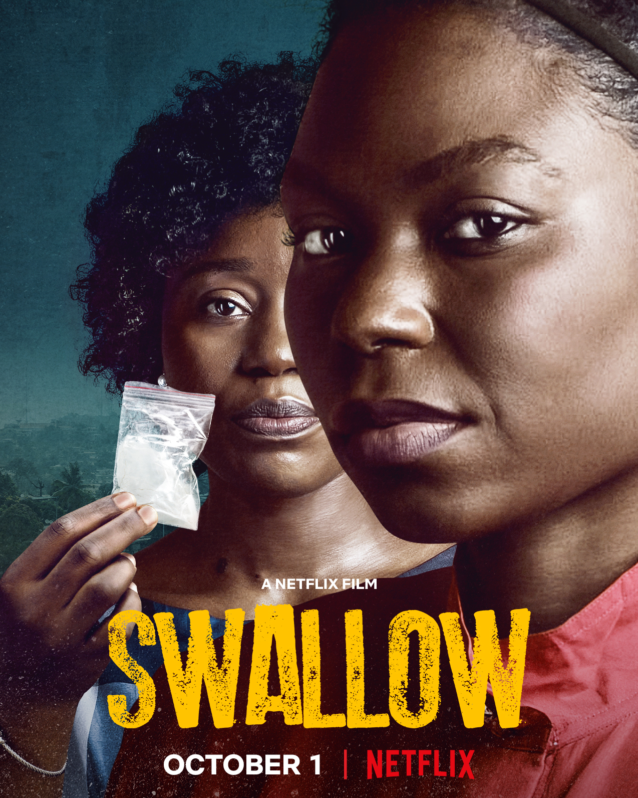 Swallow movie cover