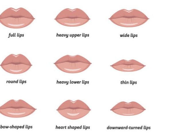 Different types of lip shape